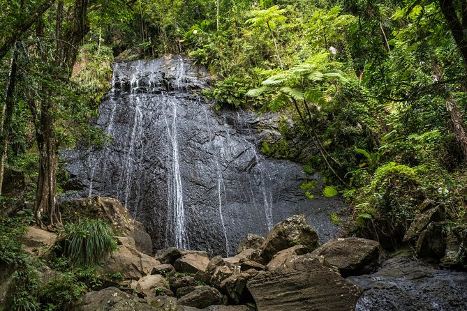El Yunque Rainforest EZ-going Bus Tour (wheelchair accessible) - Baño Grande is a quieter forest stop