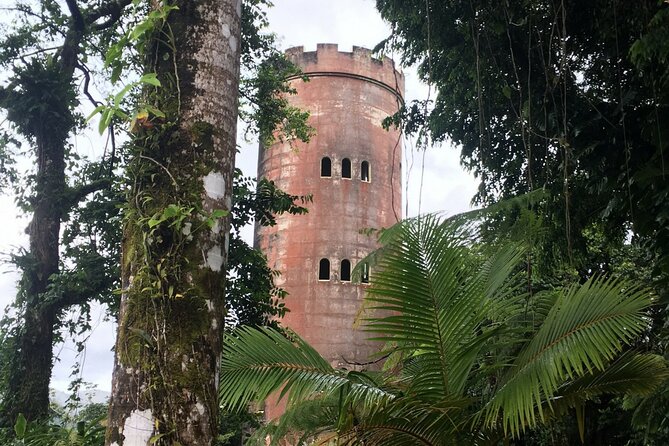 El Yunque Rainforest EZ-going Bus Tour (wheelchair accessible) - Luquillo brings food and Puerto Rican flavor