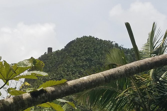 El Yunque Rainforest Full Day Private Tour - La Coca Falls, a ten-minute stop with a big payoff