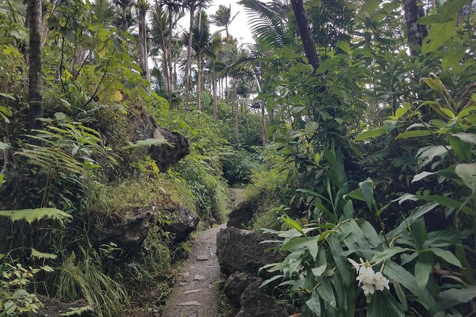 El Yunque Rainforest Full Day Private Tour - Yokahu Tower and the reward of height