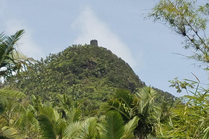 El Yunque Rainforest Full Day Private Tour - What the private format is really worth
