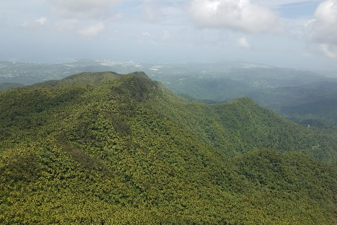 El Yunque Rainforest Full Day Private Tour - Who should take this tour