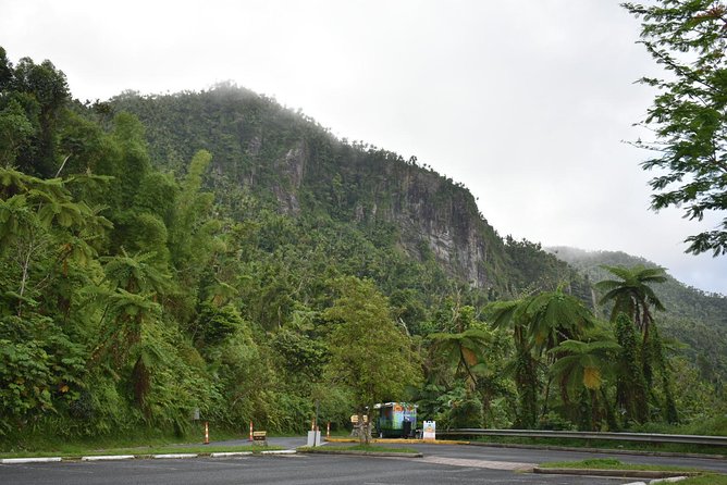 El Yunque Rainforest Guided Day Tour from San Juan - Why this half-day visit works from San Juan