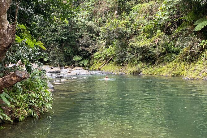 El Yunque Rainforest Guided Day Tour from San Juan - Swimming in the river depends on the weather