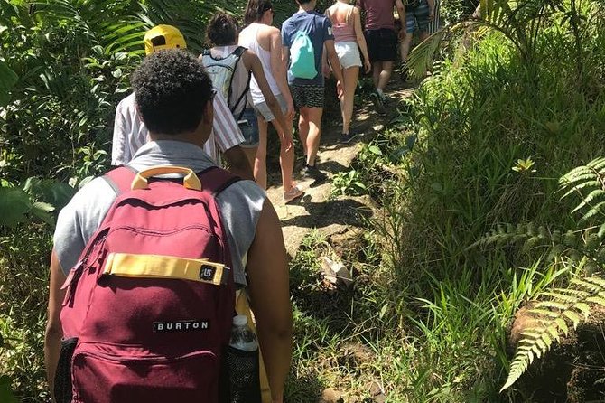 El Yunque Rainforest Guided Day Tour from San Juan - What the $85 price really buys you