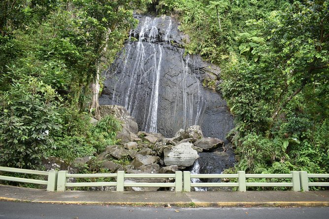 El Yunque Rainforest Guided Day Tour from San Juan - Guides make or break this experience