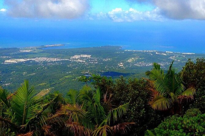 El Yunque Rainforest Guided Tour - Key Points at a Glance