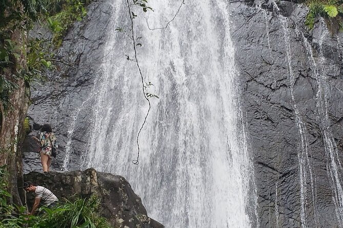 El Yunque Rainforest Guided Tour - Why El Yunque Works Best With a Guide