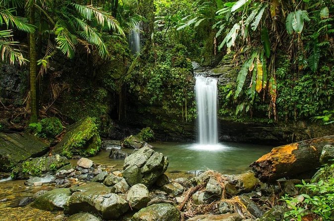El Yunque Rainforest Guided Tour - The Meal Stop Adds a Taste of Local Puerto Rico
