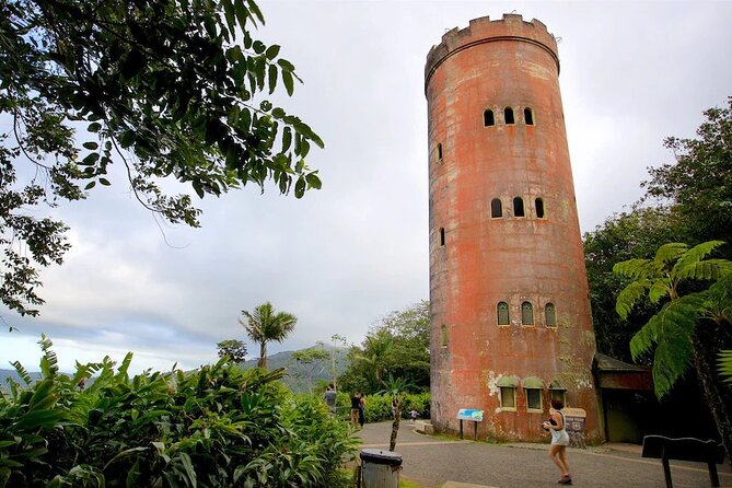 El Yunque Rainforest Guided Tour - What $75 Really Buys You