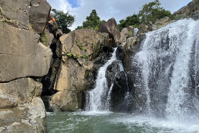 El Yunque Rainforest Hike and Luquillo Beach Tour - What $189 includes, and what it does not