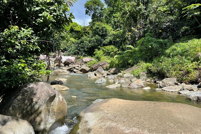 El Yunque Rainforest Hike and Luquillo Beach Tour - Who will enjoy this experience most