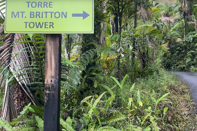 El Yunque Rainforest Hike with Transport from San Juan - Walking through Puerto Rico’s only tropical rainforest in the US forest system