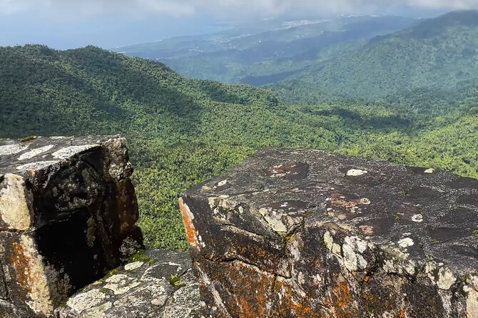El Yunque Rainforest Hike with Transport from San Juan - Waterfalls, pools, and river stops