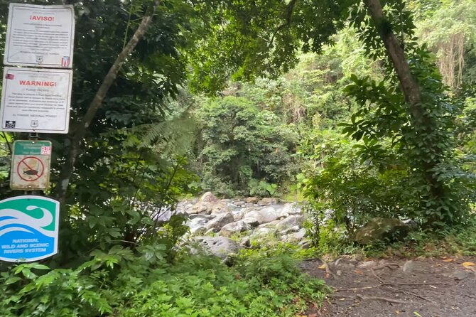 El Yunque Rainforest Hike with Transport from San Juan - A guide-led forest visit, not just a transfer