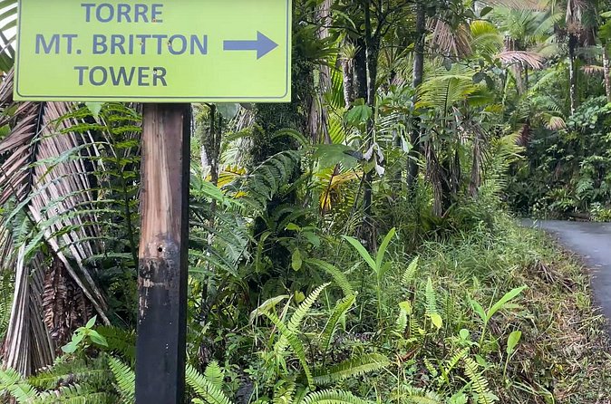 El Yunque Rainforest Hike with Transport from San Juan - How much hiking should you expect?