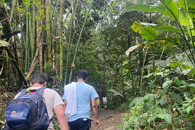 El Yunque Rainforest Hiking Tour from San Juan - La Coca Falls is scenic, not a swimming hole