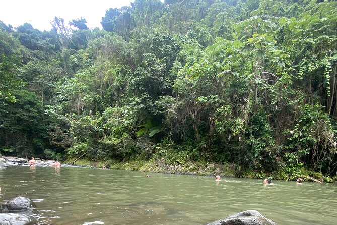 El Yunque Rainforest Hiking Tour from San Juan - The river stop brings the most hands-on fun