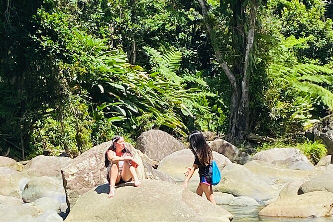 El Yunque Rainforest Hiking Tour from San Juan - What the guides add to the experience