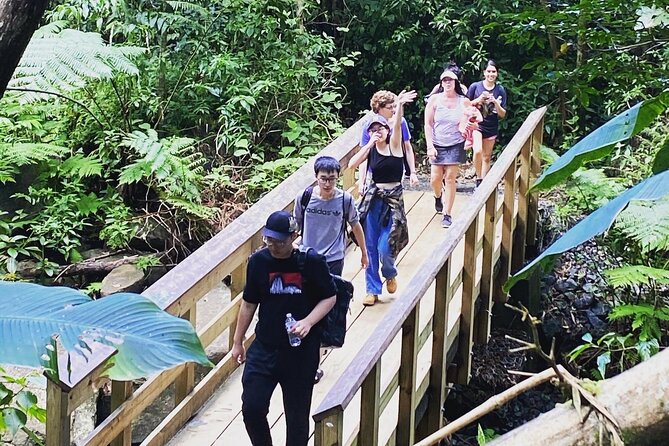 El Yunque Rainforest Hiking Tour from San Juan - Weather, construction, and closures can reshape the afternoon