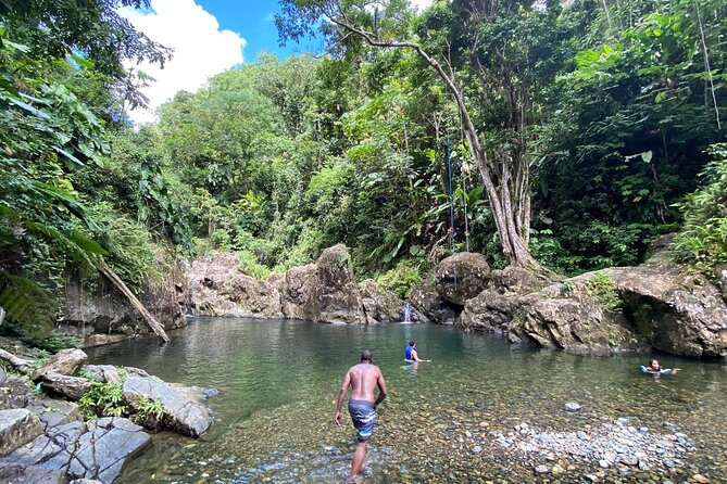 El Yunque Rainforest Morning River and Hike Adventure - Key points at a glance