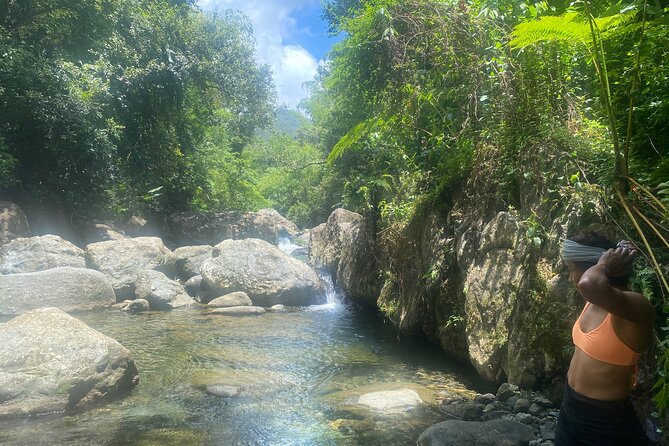 El Yunque Rainforest Morning River and Hike Adventure - A real rainforest visit, not just a swim stop