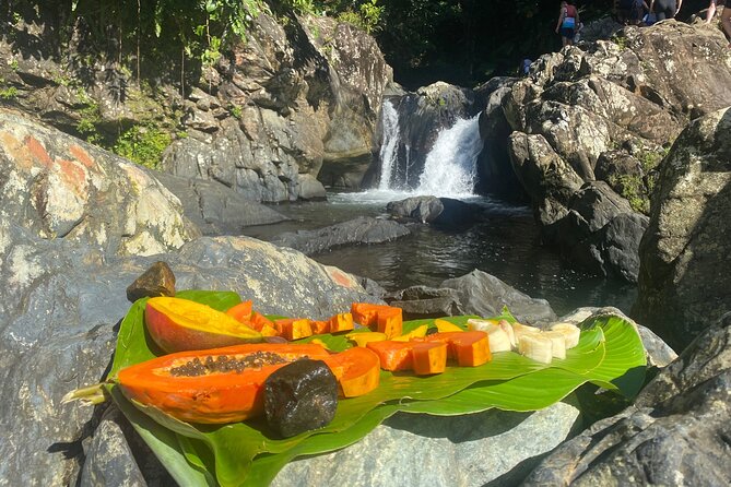 El Yunque Rainforest Morning River and Hike Adventure - What is included, and what you still need