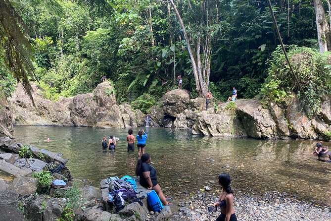 El Yunque Rainforest Morning River and Hike Adventure - The guides can shape the whole day
