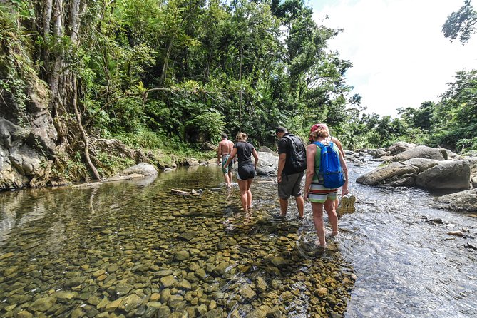 El Yunque Rainforest Tour from Fajardo - Meeting in Fajardo and getting ready