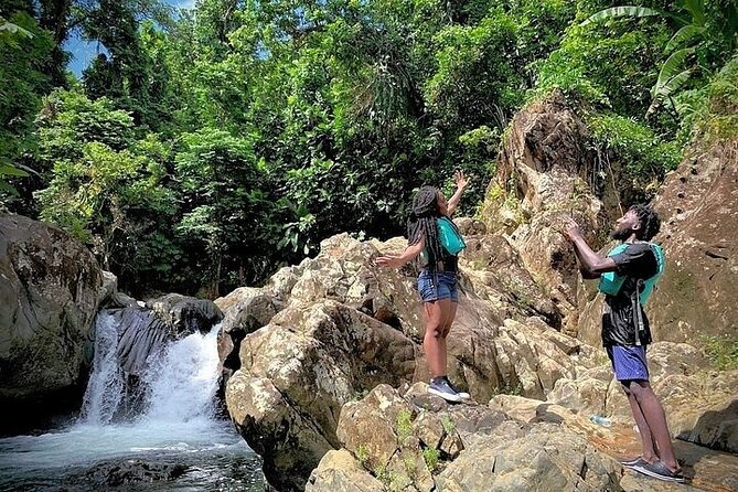 El Yunque Rainforest Tour Half Day Earlybird/ Small Groups - Rope swings, cliff jumps, and honest limits