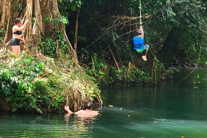 El Yunque Rainforest Tour Half Day Earlybird/ Small Groups - What the $89 price really covers