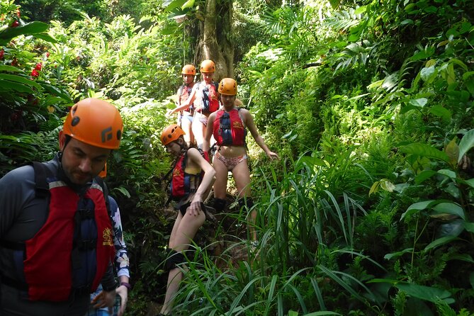 El Yunque Rainforest Tour: Natural Waterslides Adventure - Key points to know before you book