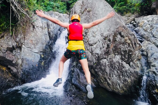 El Yunque Rainforest Tour: Natural Waterslides Adventure - Natural slides, rope swings, and cliff jumps