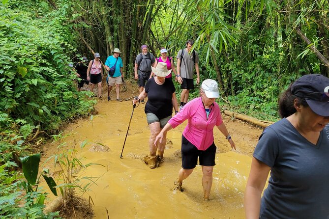 El Yunque Rainforest - Waterslide, Cliff jump, and Rope swing! - The natural pool is the heart of the outing