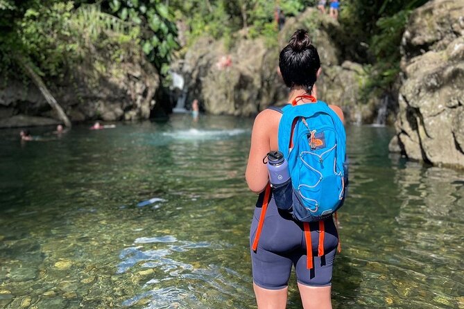 El Yunque Small Group Tour with Luquillo Lunch Stop and Transport - A useful balance of adventure and choice