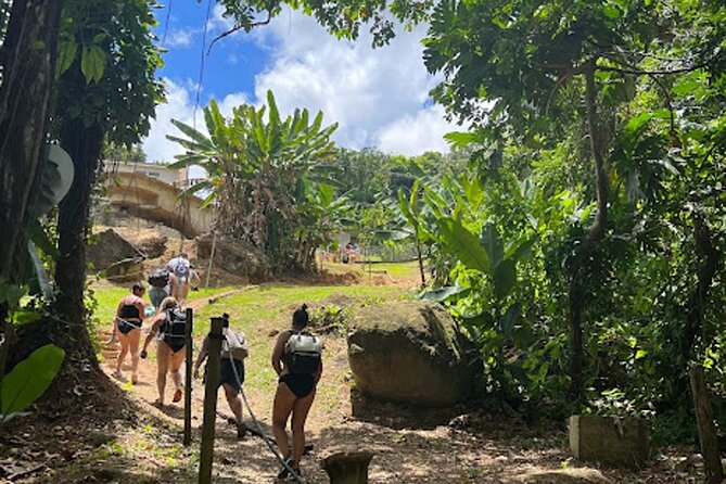 El Yunque Waterslide and Waterfall Tour with Food and Photos - Why this El Yunque adventure is different