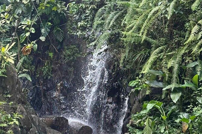 El Yunque Waterslides, Jumps, swing! small business owner:) - Safety without losing the fun
