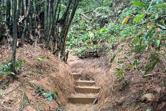 El Yunque Waterslides, Jumps, swing! small business owner:) - Who will enjoy this El Yunque adventure