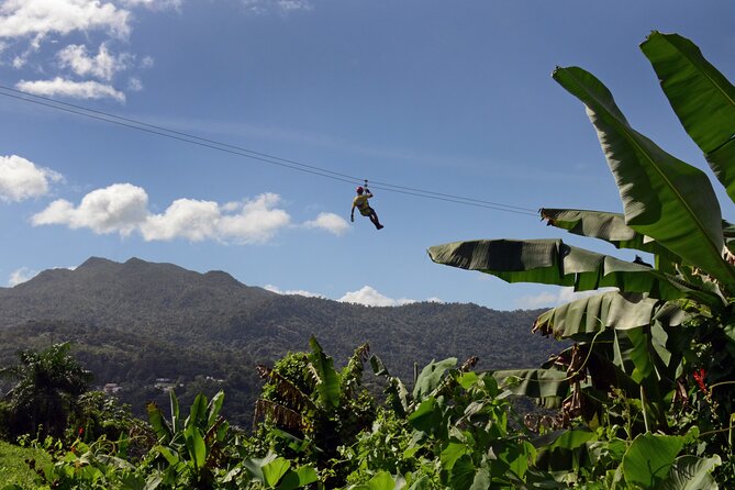 El Yunque Ziplining in Puerto Rico - Key Details Before You Book