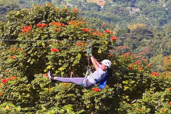 El Yunque Ziplining in Puerto Rico - The Ten-Minute Rainforest Walk