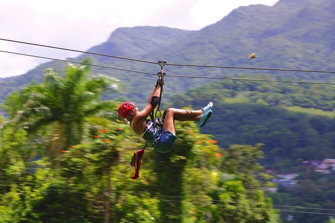 El Yunque Ziplining in Puerto Rico - Is $149 a Fair Price?