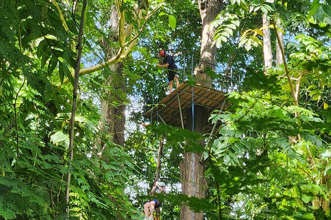 El Yunque Ziplining with River and Beach Visit - Who should book this day?