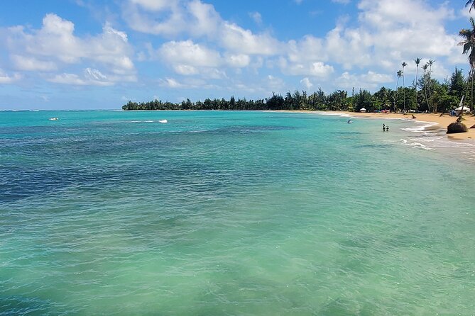 El Yunque Ziplining with River and Beach Visit - A short forest walk to the Mameyes River
