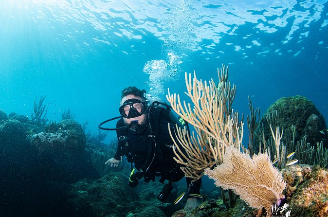 Experience Scuba - Weather, Timing, and Cancellation Rules