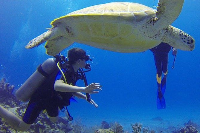 Experience Scuba Diving / NO certification Needed - The First Breath Underwater