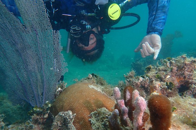 Experience Scuba Diving / NO certification Needed - The Instructors Make or Break the Session