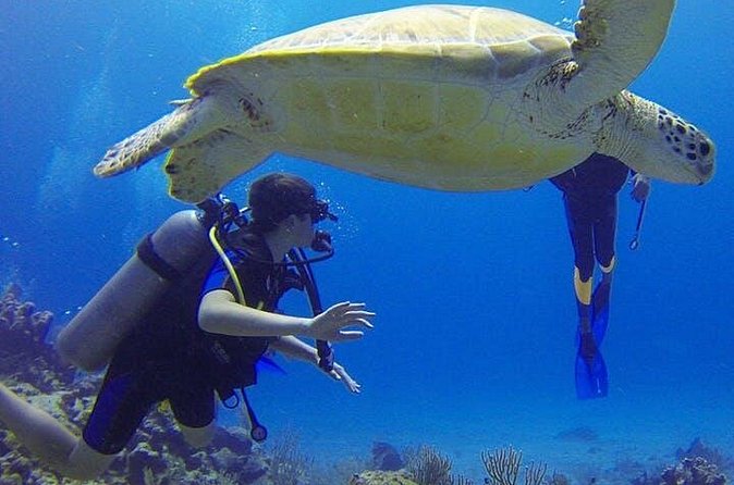 Experience Scuba Diving / NO certification Needed - Is $119 a Fair Price?