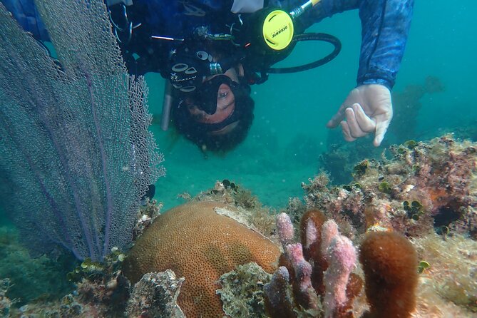 Experience Scuba Diving / NO certification Needed - Reaching Rincón’s Reef From the Beach