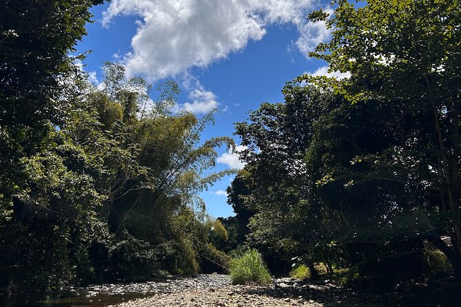 Explore El Yunque: Hiking, Swings & Waterslide (Small Group) - Smart preparation for the three-hour outing