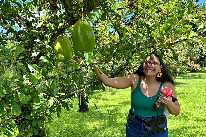 Explore Indigenous Roots, Experience a day in the life of a Taíno - Tristan and the value of a good guide